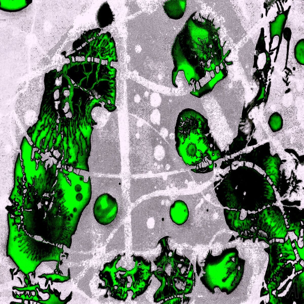 Album cover of Spirits