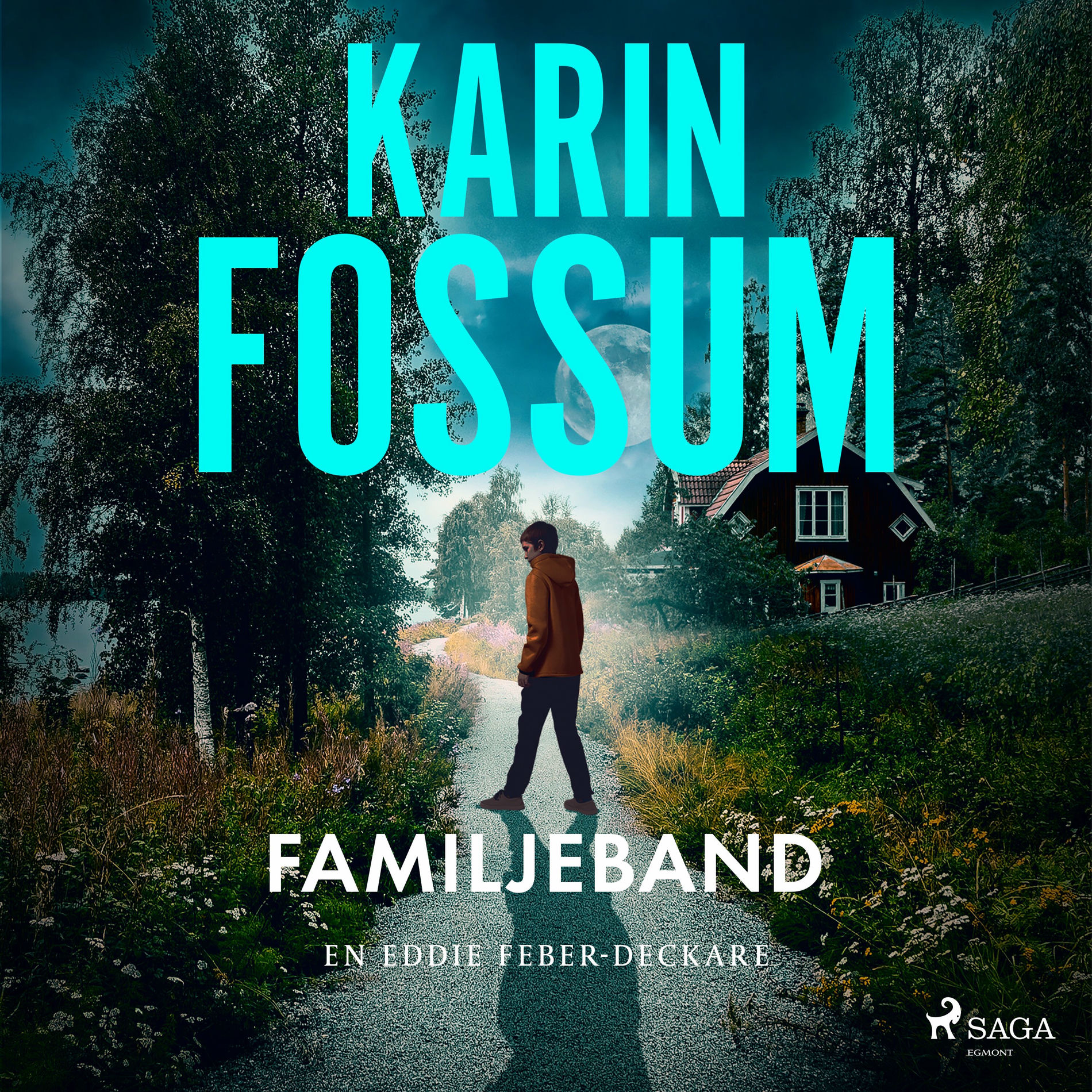 Album cover of Familjeband