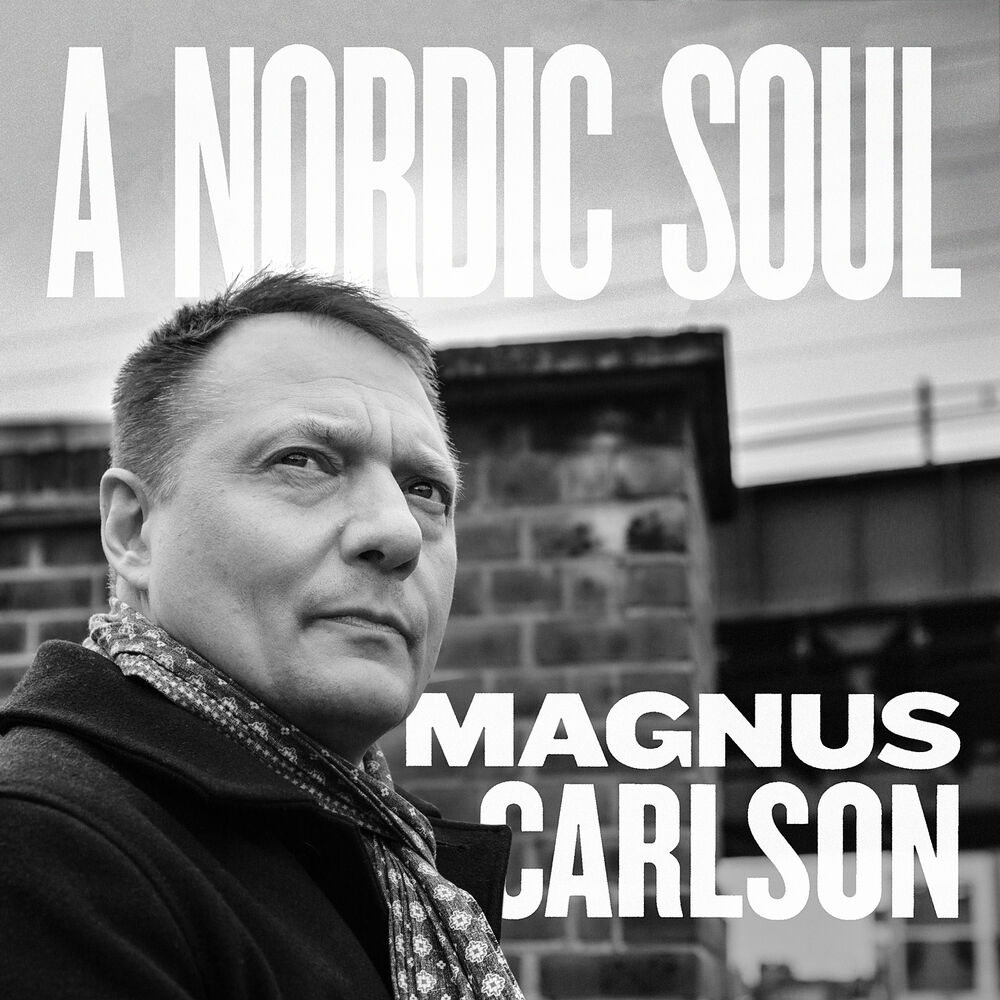 Picture of A Nordic Soul