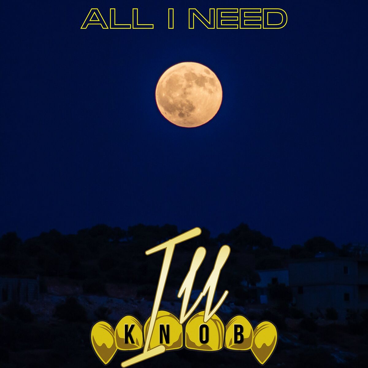Album cover of All I Need