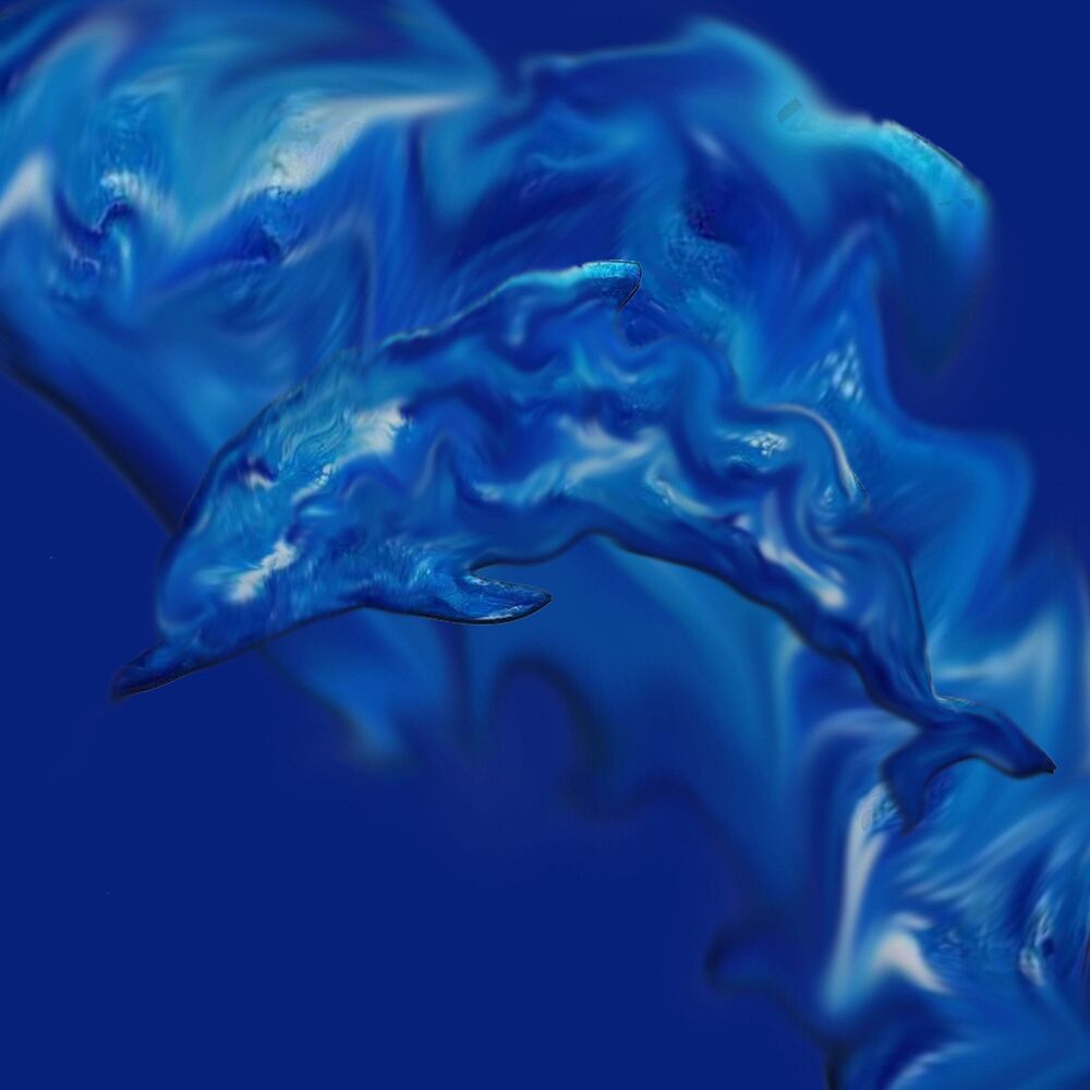 Picture of wobbly dolphin