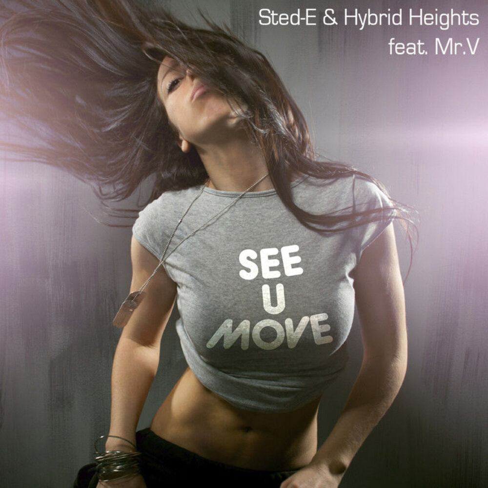 Picture of See U Move - Remixes Pt. 2 (feat. Mr. V)