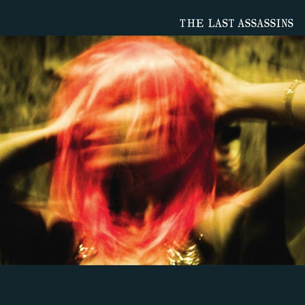 Picture of The Last Assassins