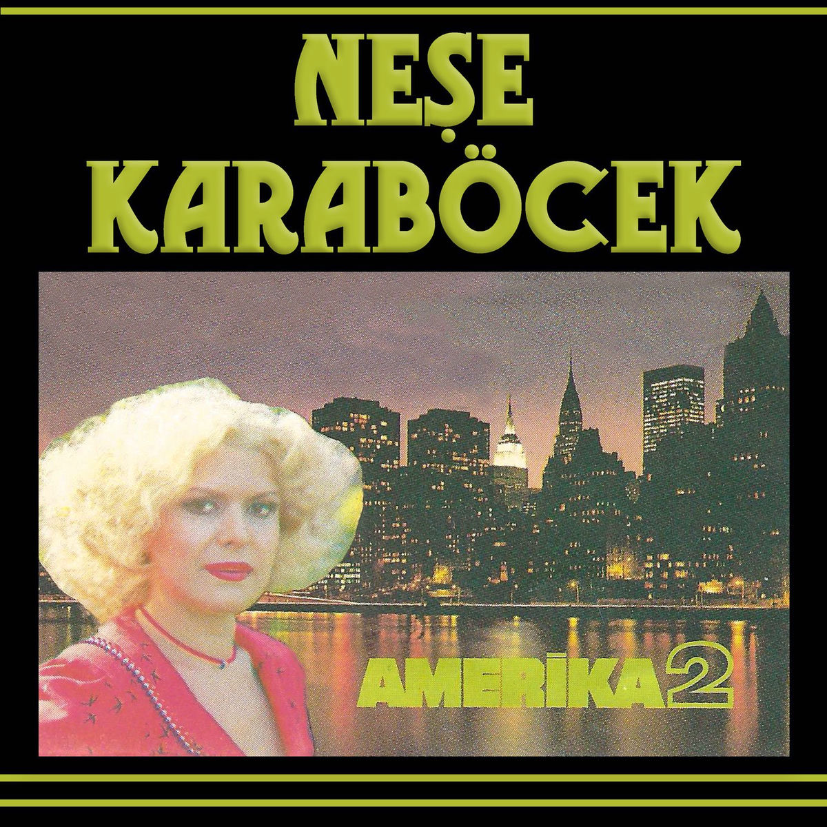 Album cover of Su Ver Leyla