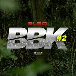 Cover of BBK 2