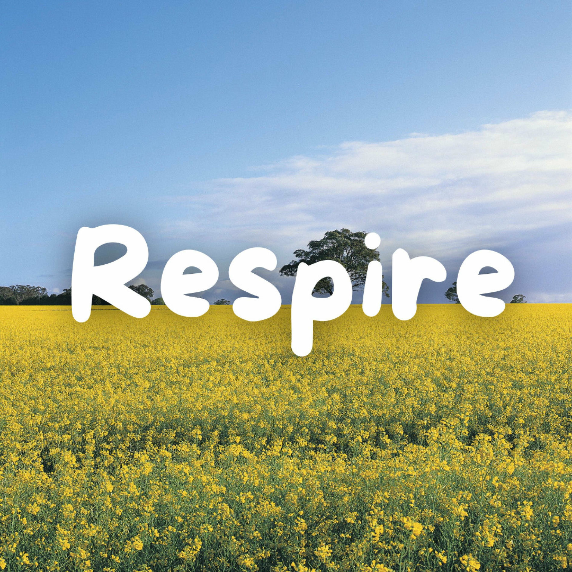 Album cover of Respire