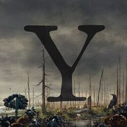 Cover of Y