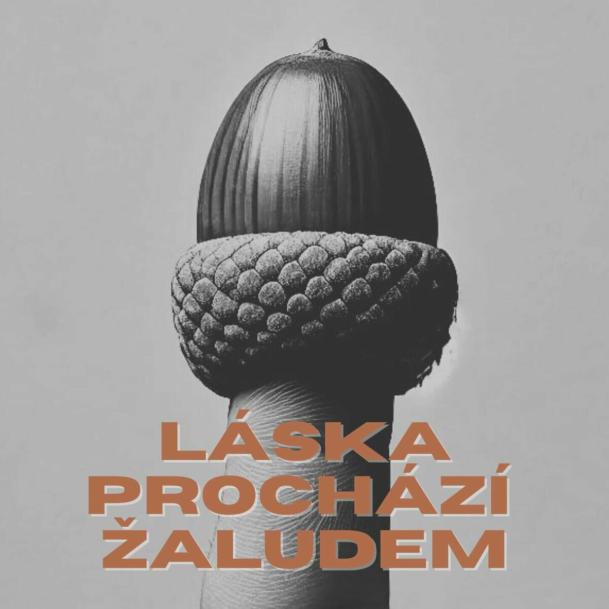 Album cover of Láska Prochází Žaludem