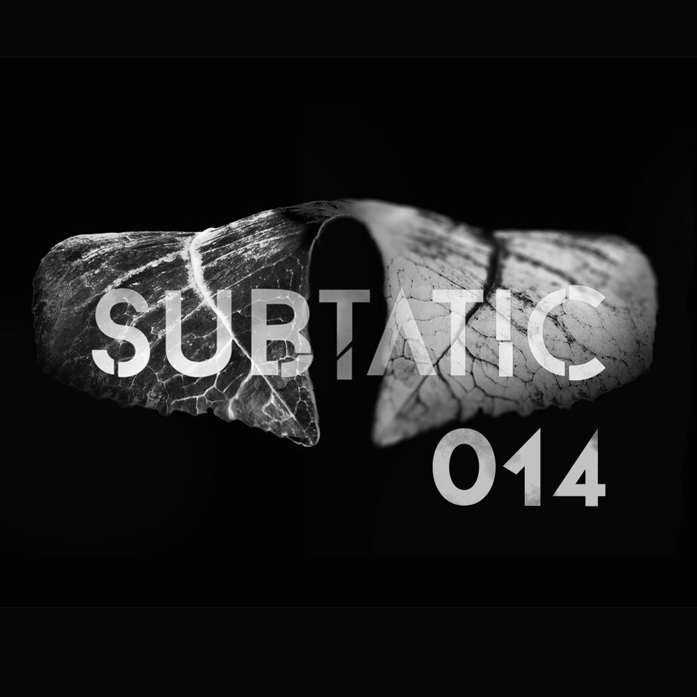 Picture of Subtatic 014