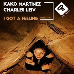 Cover of I got a feeling