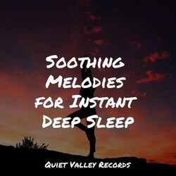Cover of Soothing Melodies for Instant Deep Sleep