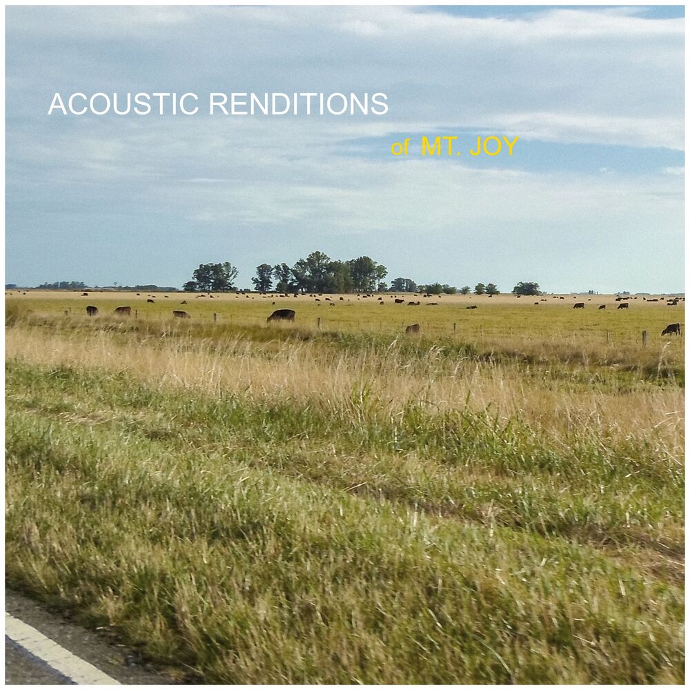 Picture of Acoustic Renditions of Mt. Joy (Instrumental)