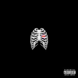 Cover of Human Anatomy
