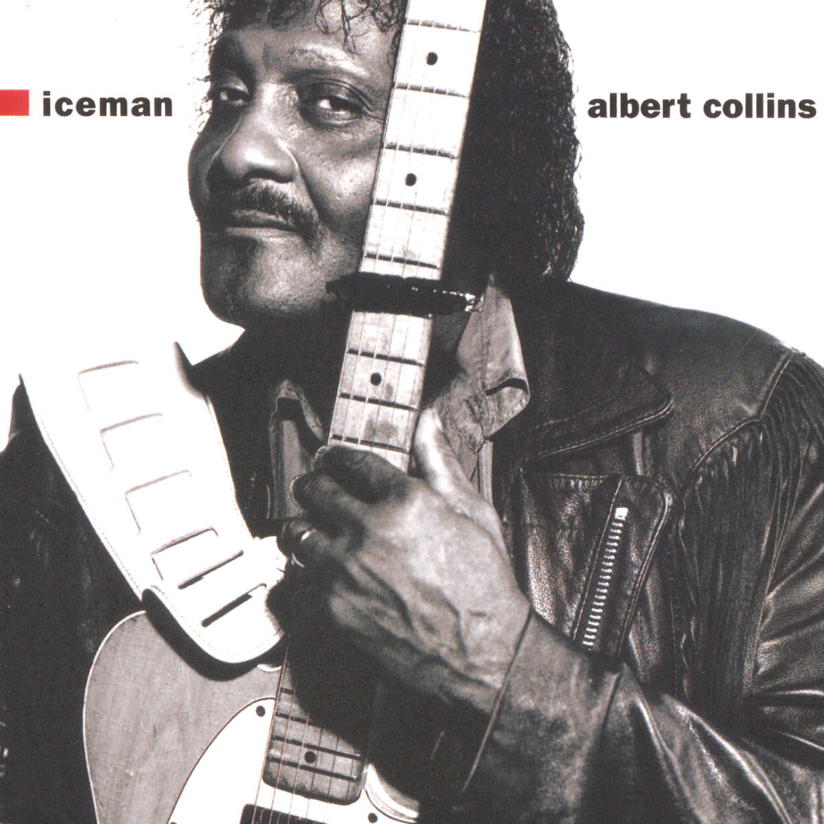 Album cover of Iceman