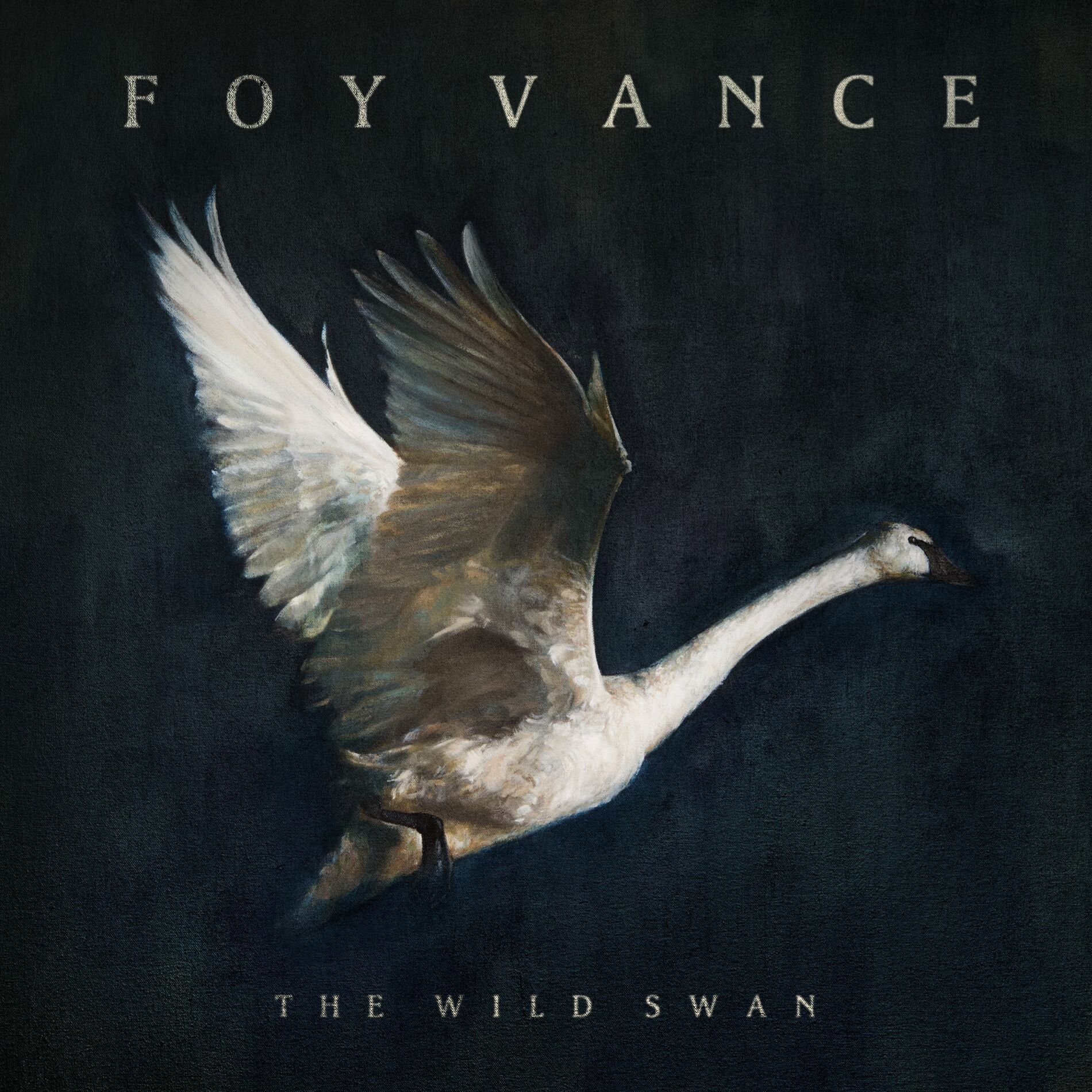 Album cover of The Wild Swan