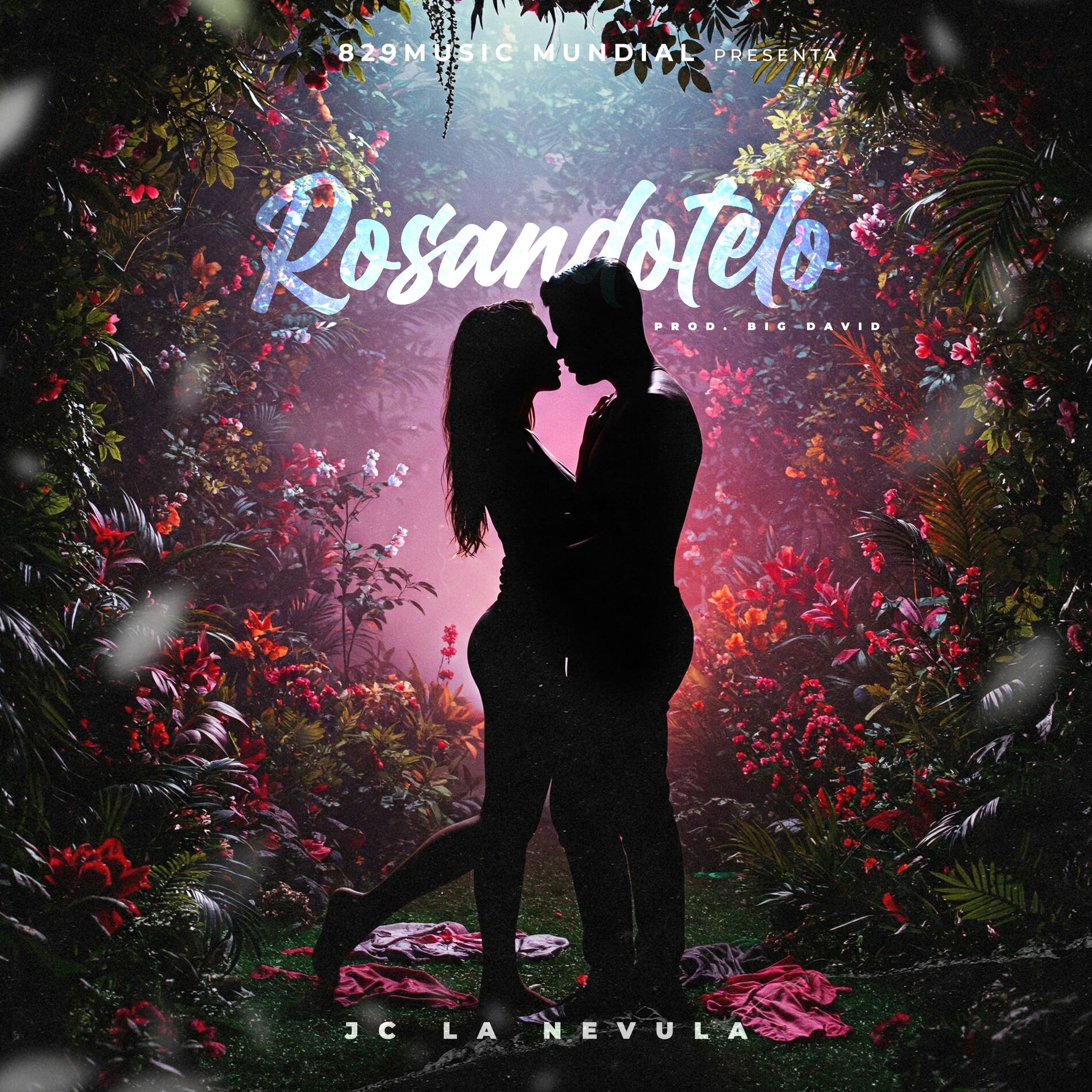 Album cover of Rosándotelo