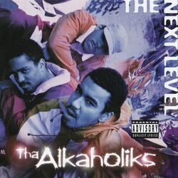 Cover of The Next Level