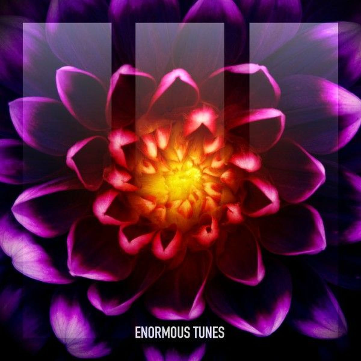 Album cover of The Power of American Natives