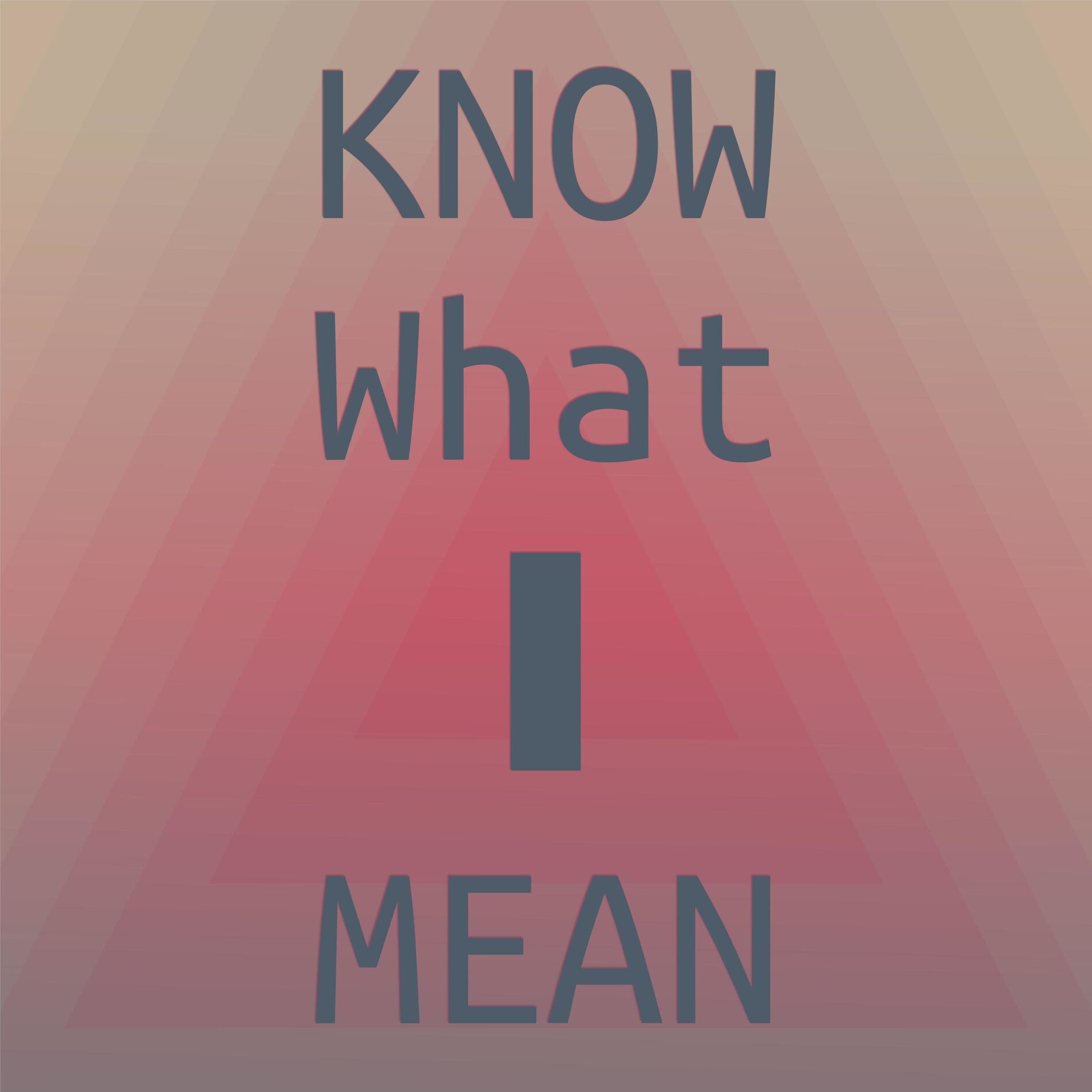 Album cover of Know What I Mean