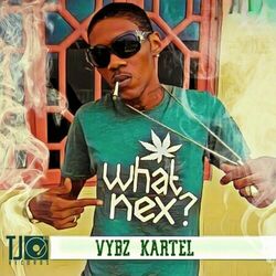 Cover of What Nex?