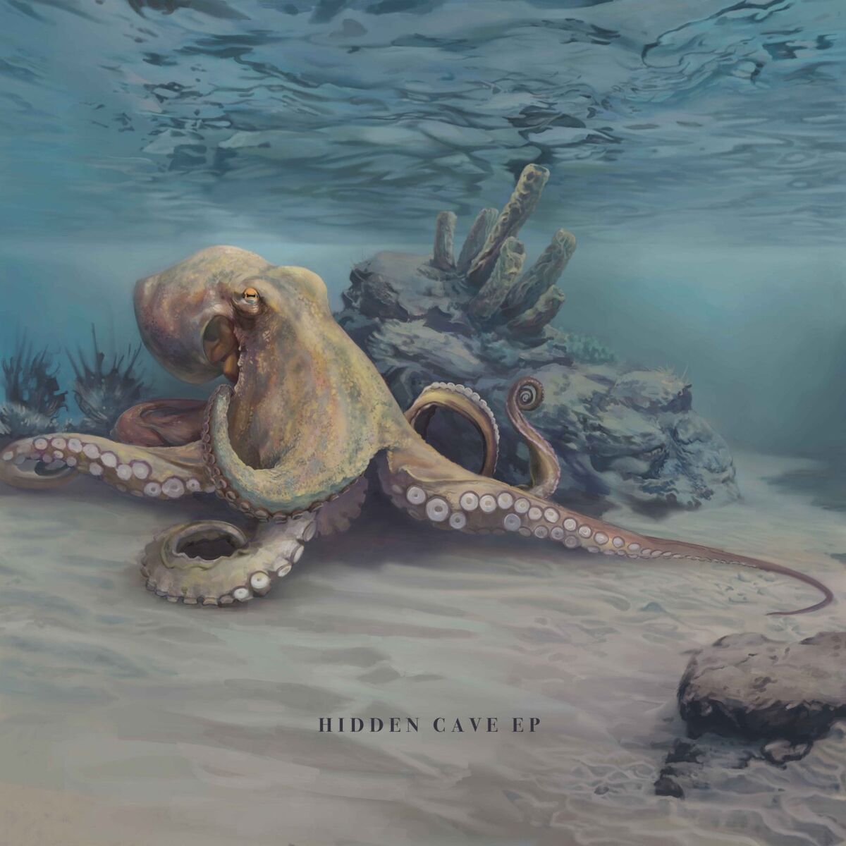 Album cover of Hidden Cave - EP