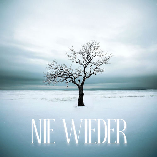 Nie wieder