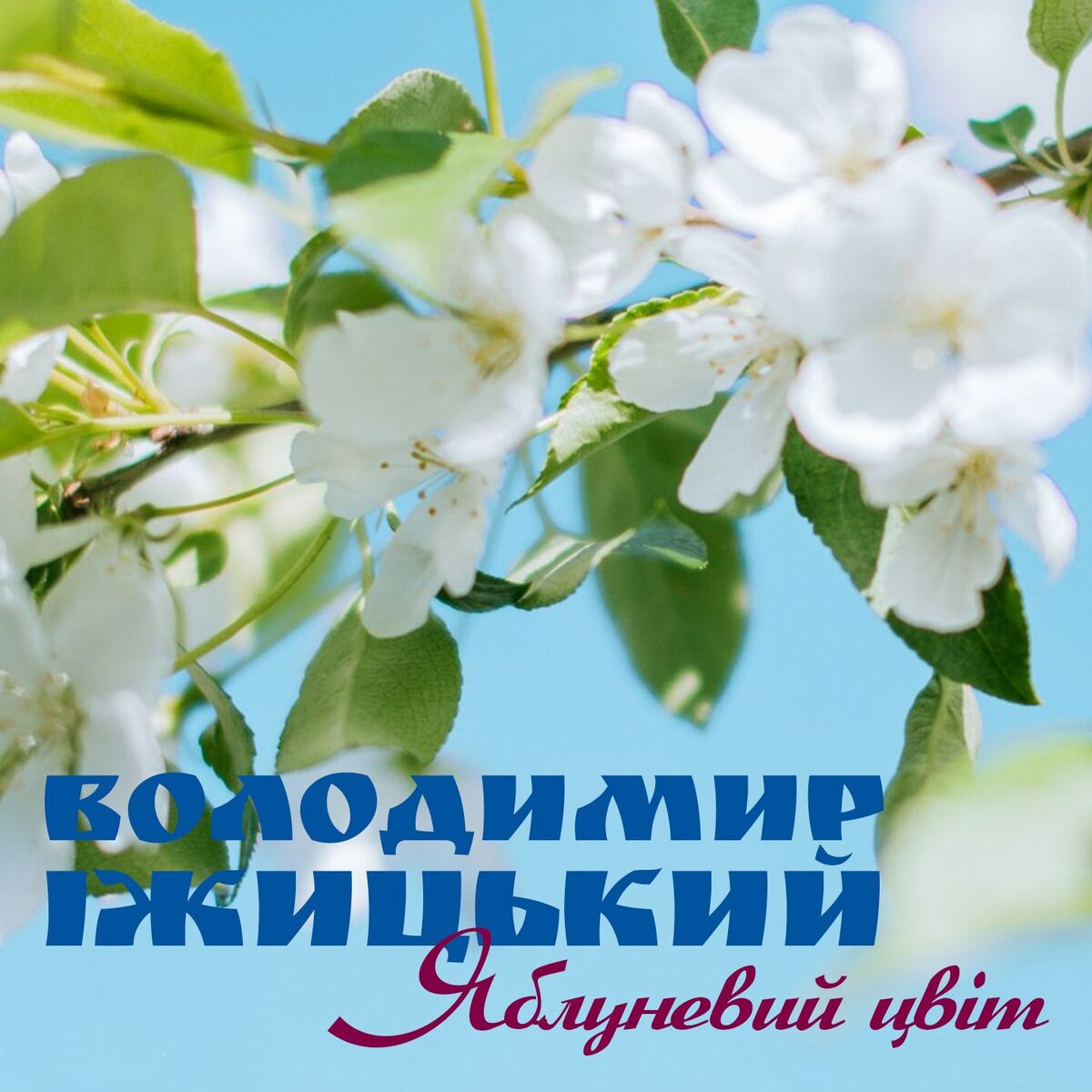 Album cover of Яблуневий цвіт