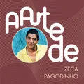 Deixa A Vida Me Levar