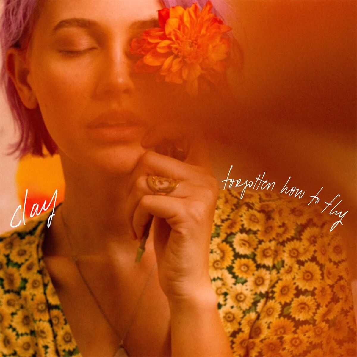Album cover of Forgotten How to Fly