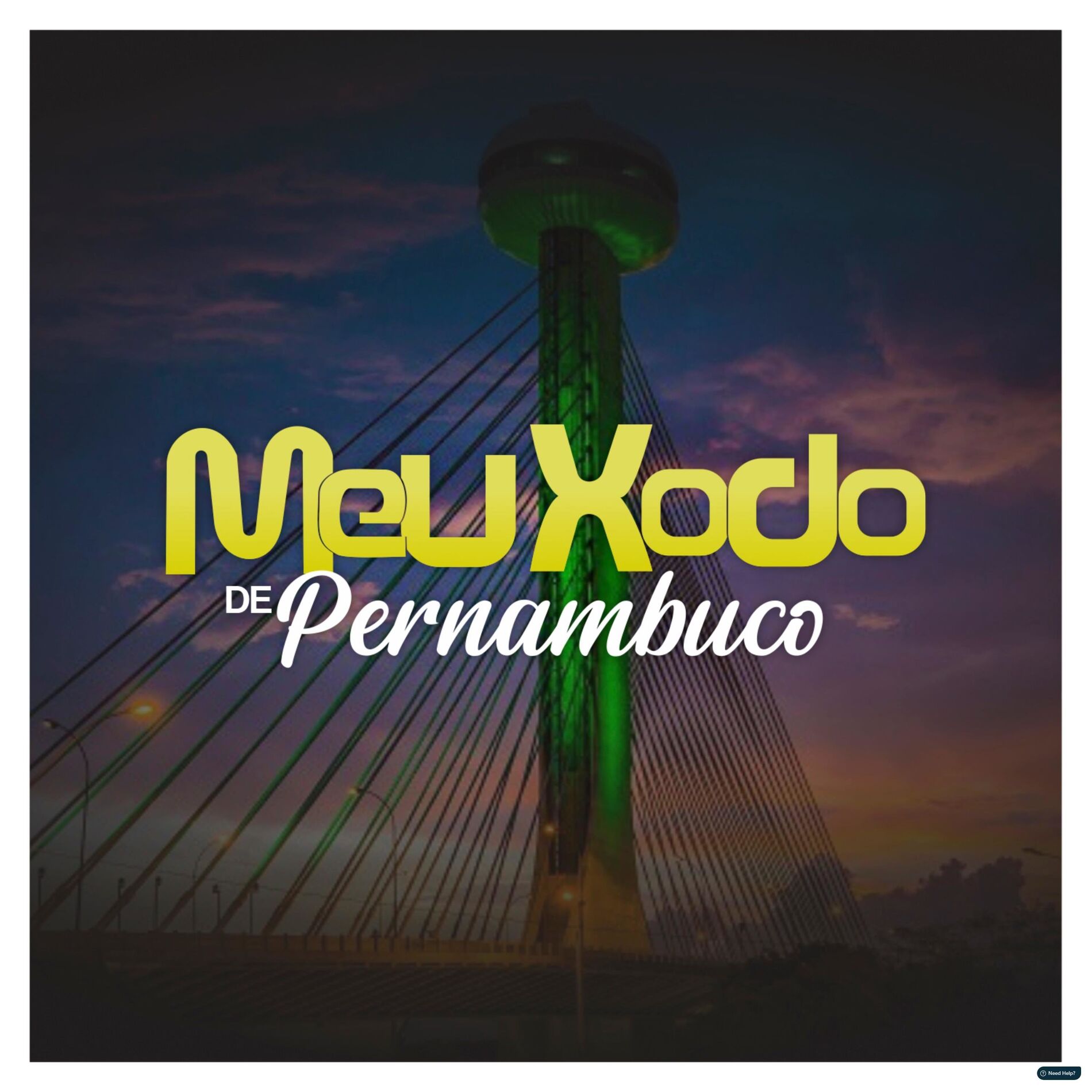 Album cover of Banda Meu Xodó De Pernambuco, Vol. 1