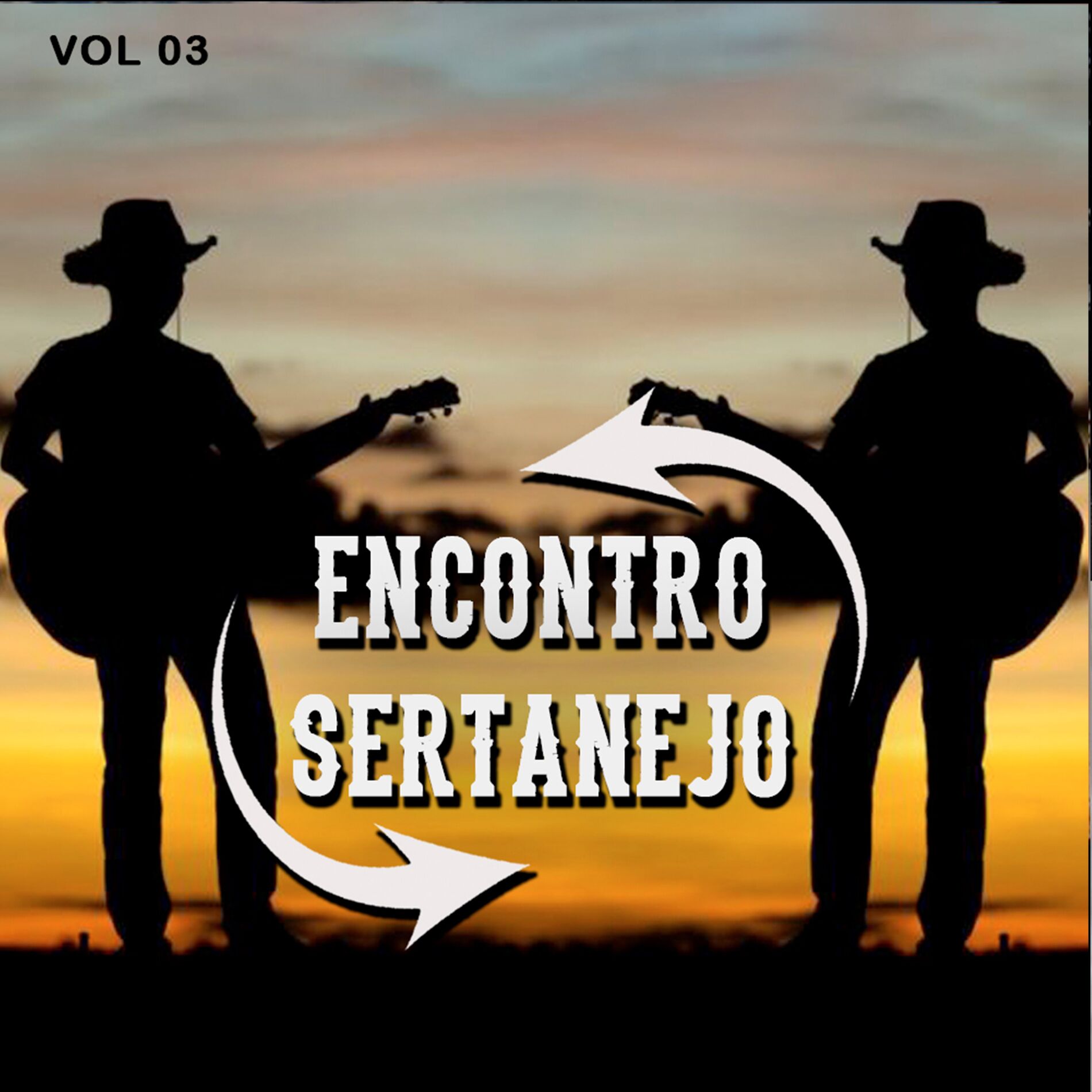 Album cover of Encontro Sertanejo, Vol. 03