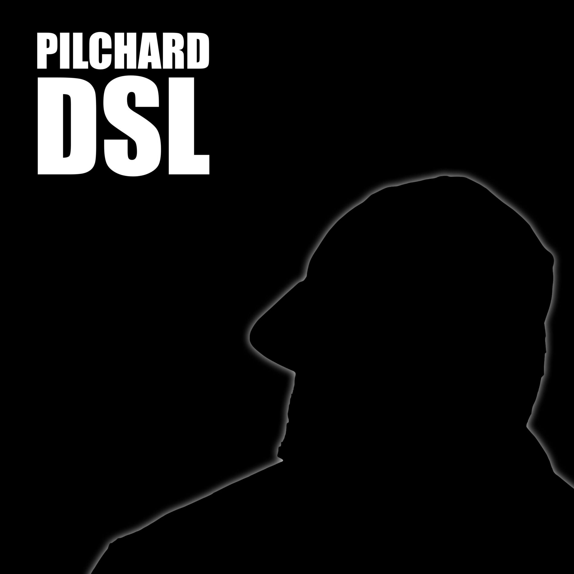 Album cover of D-S-L