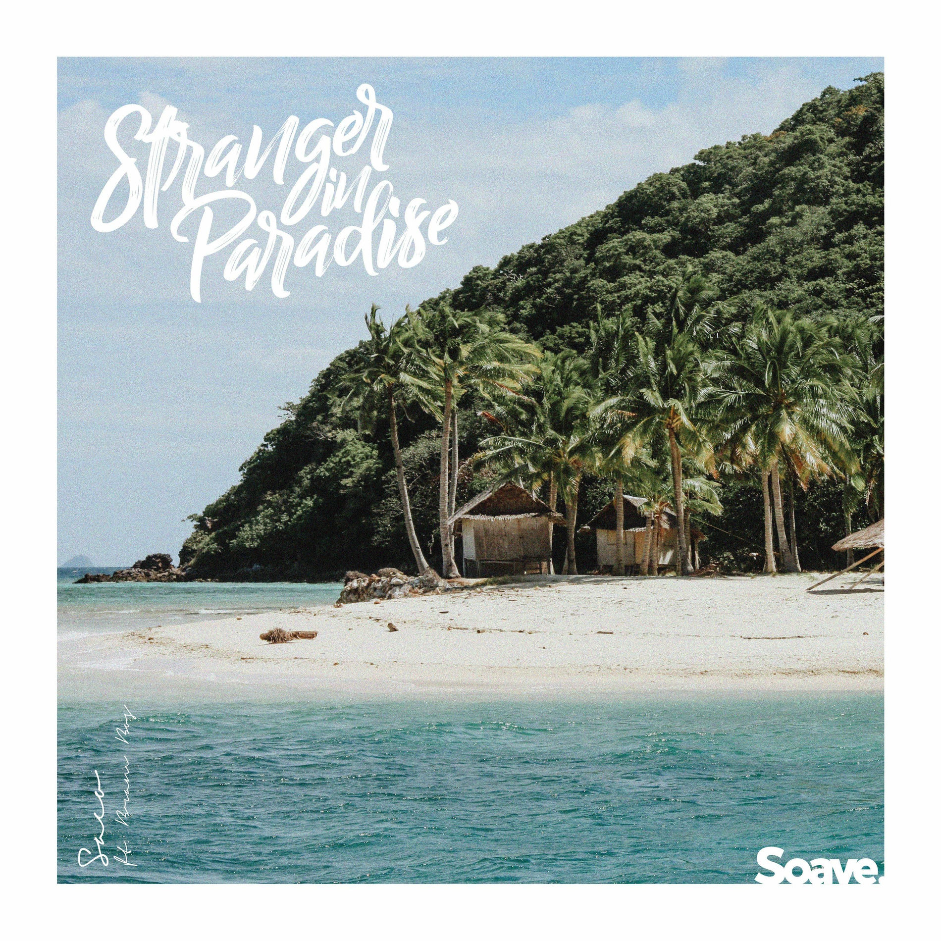 Album cover of Stranger In Paradise