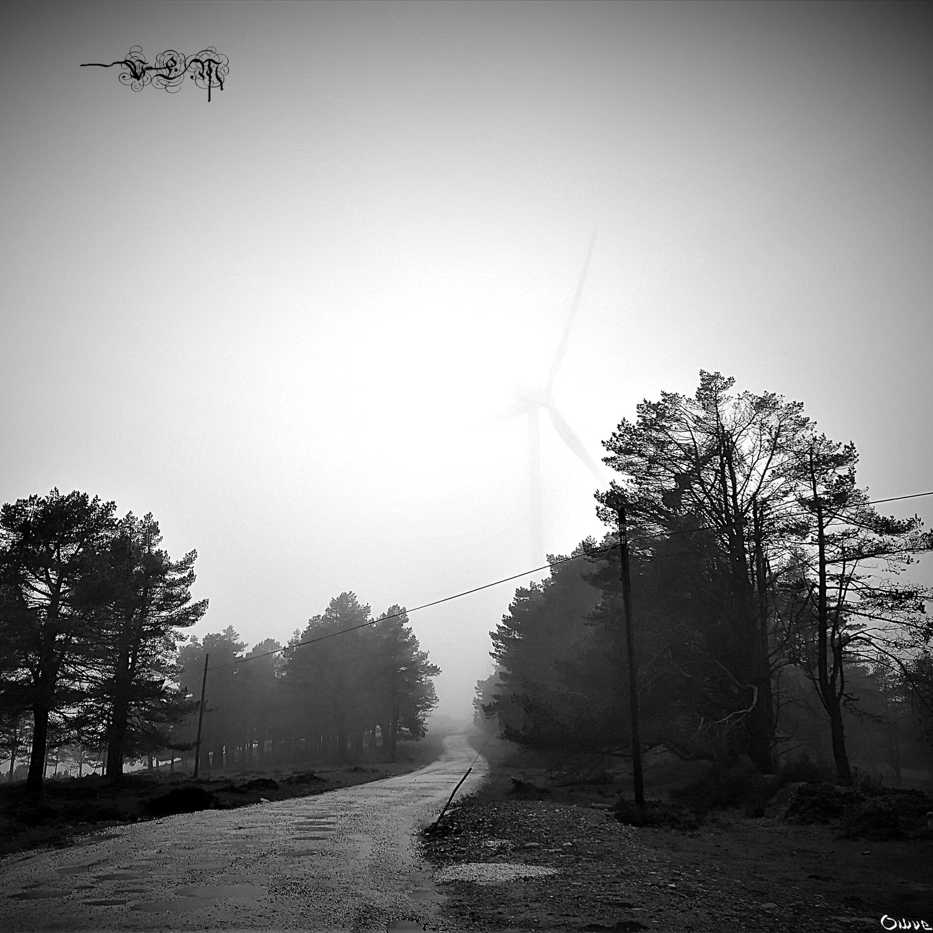Album cover of Owve