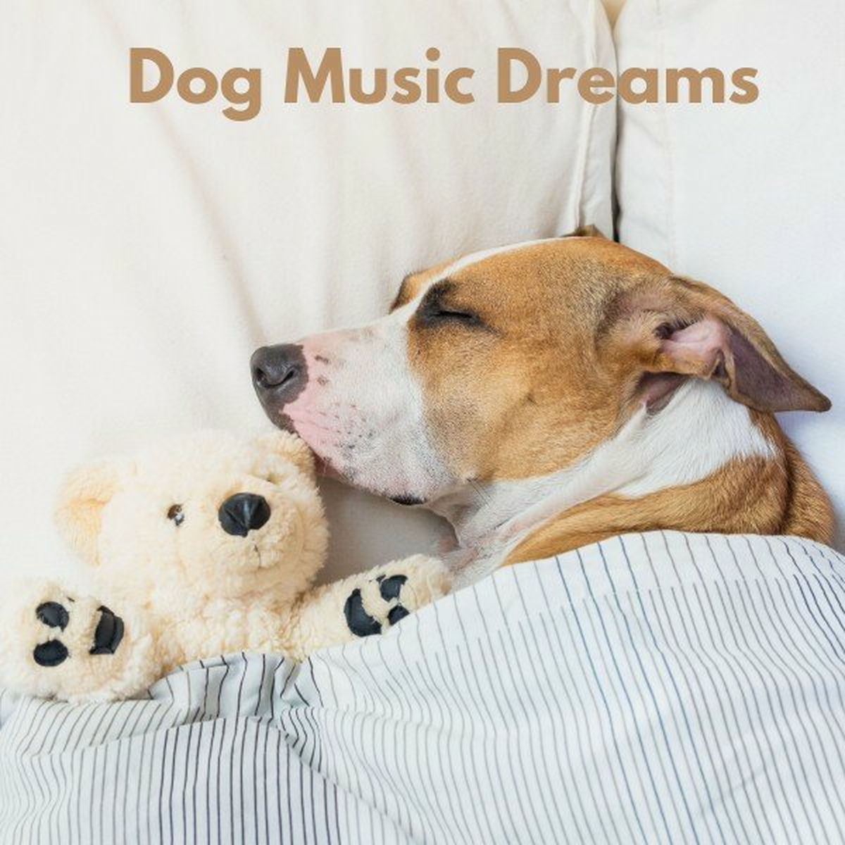 Album cover of Dog Chill