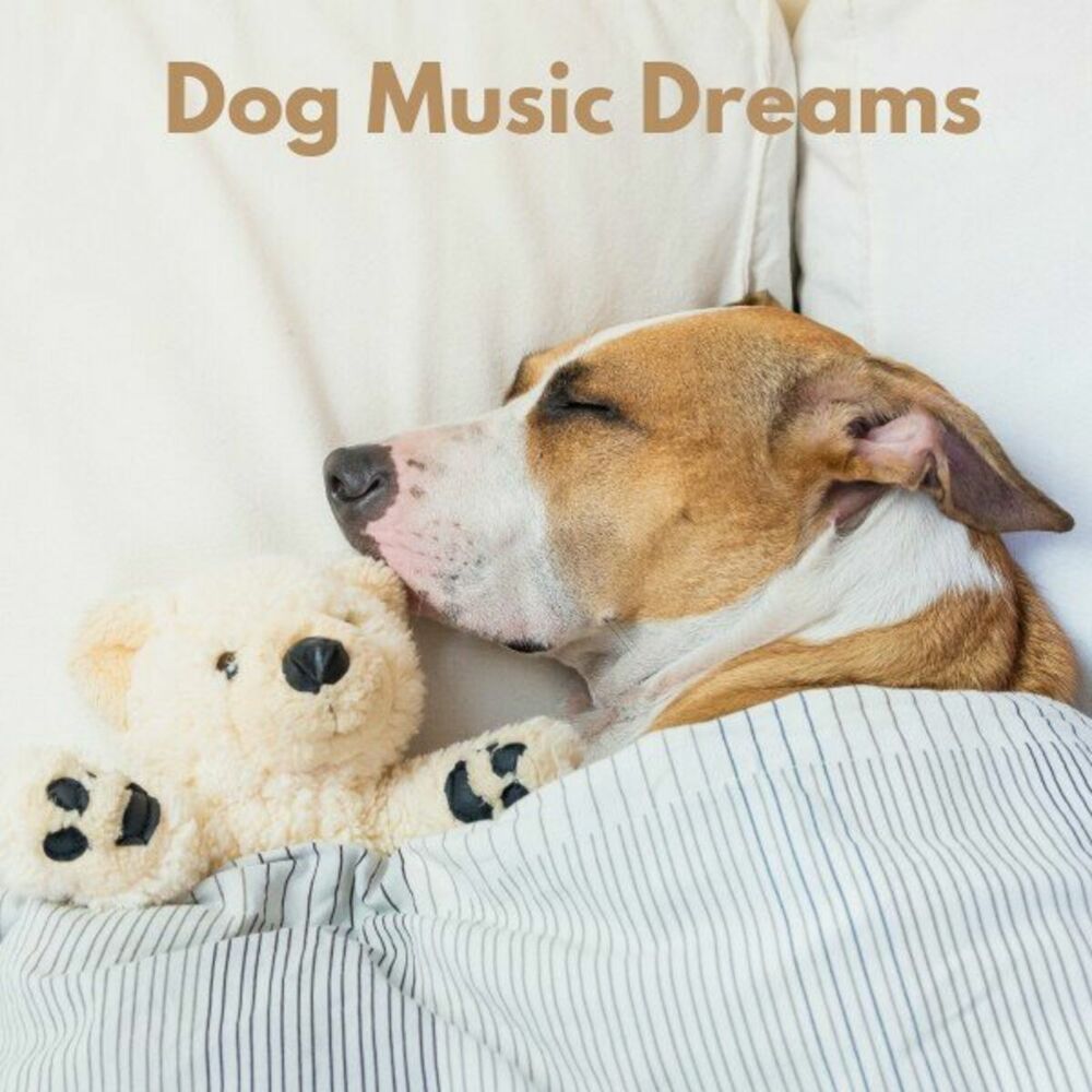 Picture of Dog Music Dreams