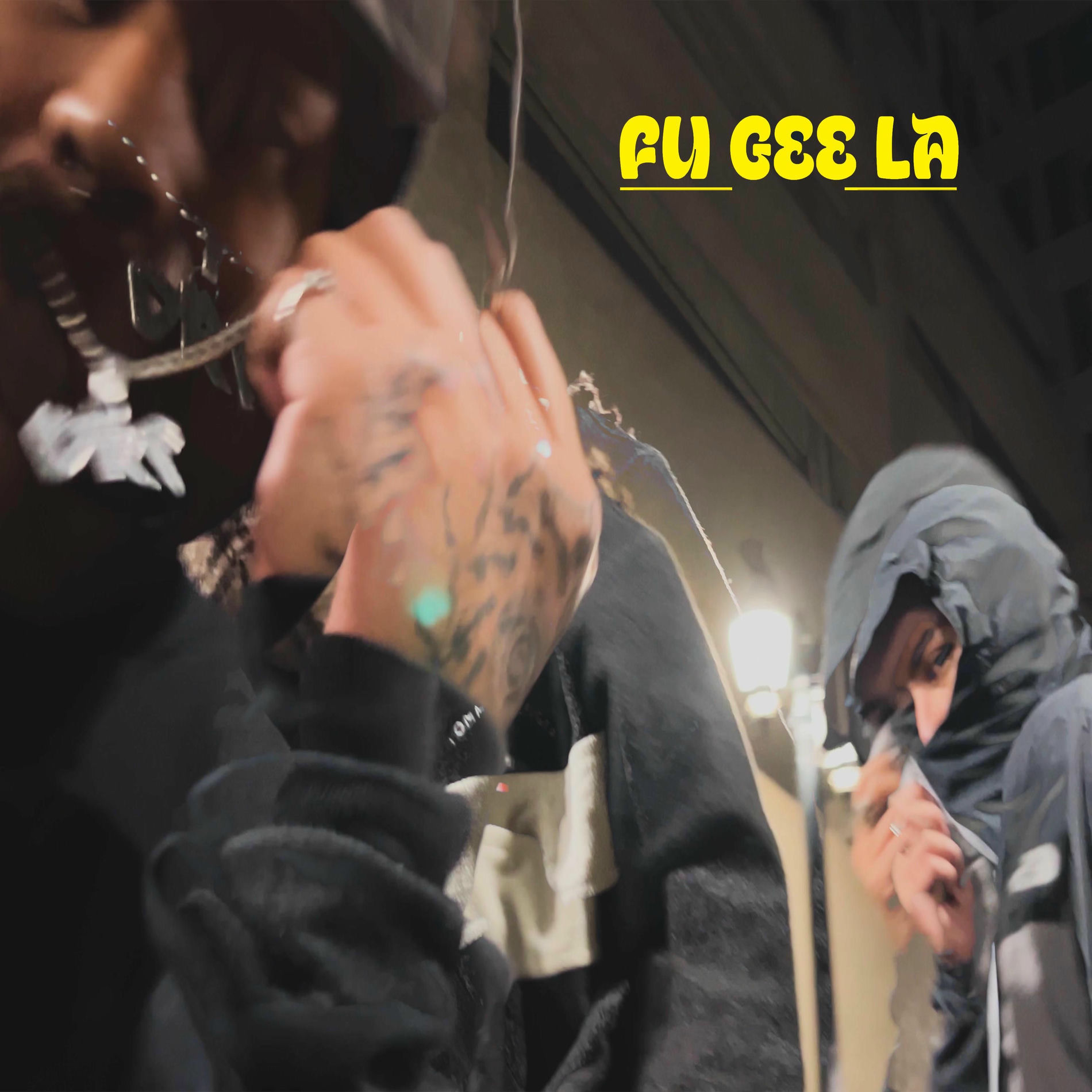 Album cover of FUGEELA (feat. Raven2046 & sabú)