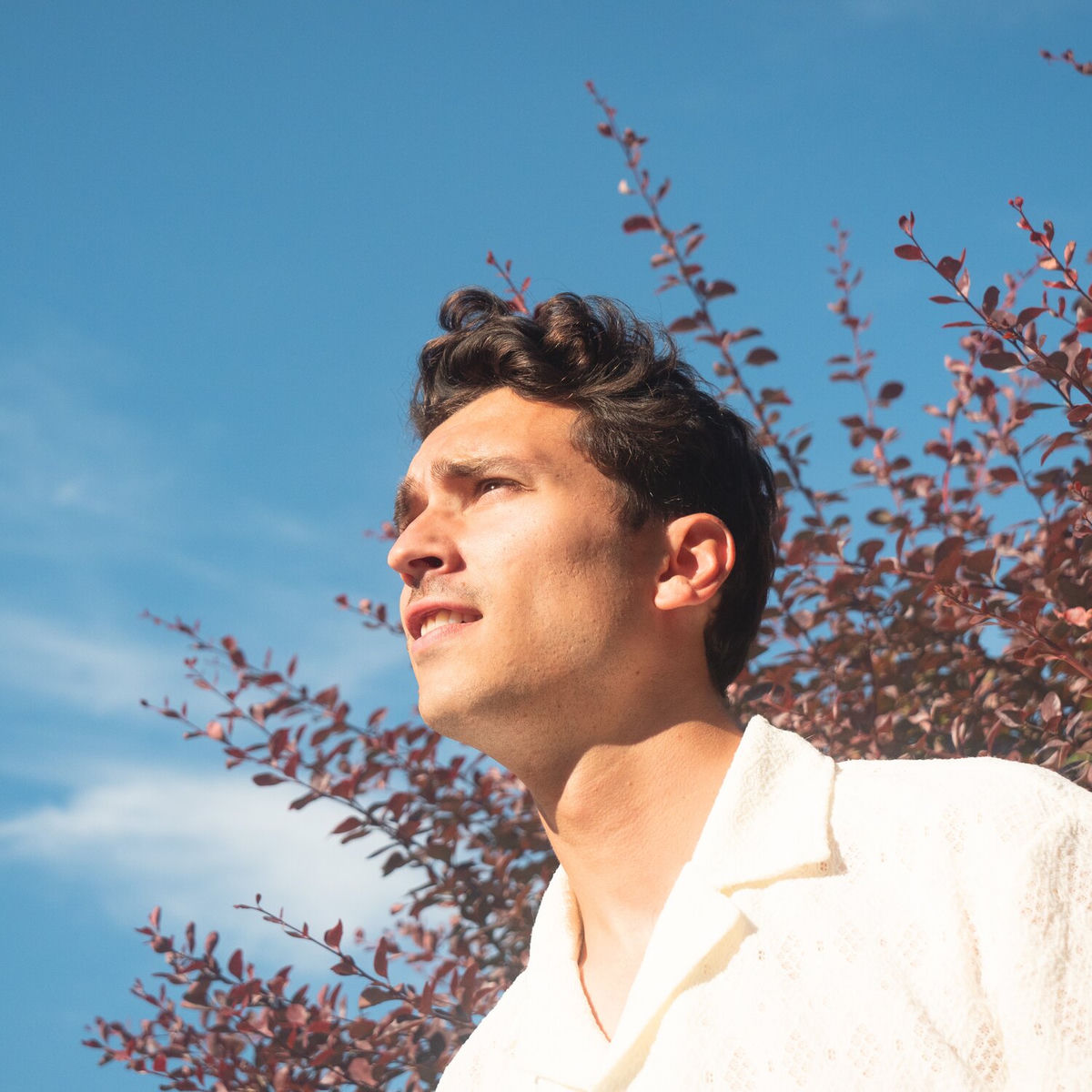 Album cover of California