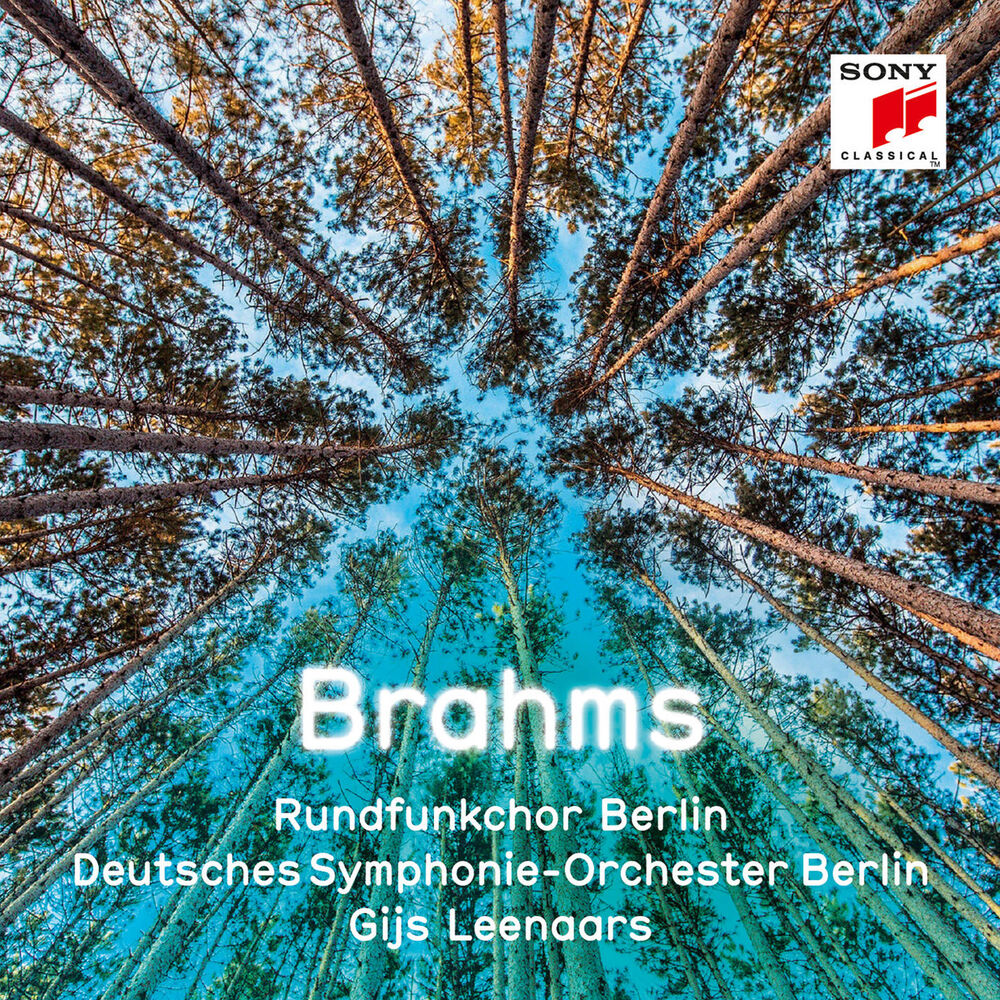 Picture of Brahms