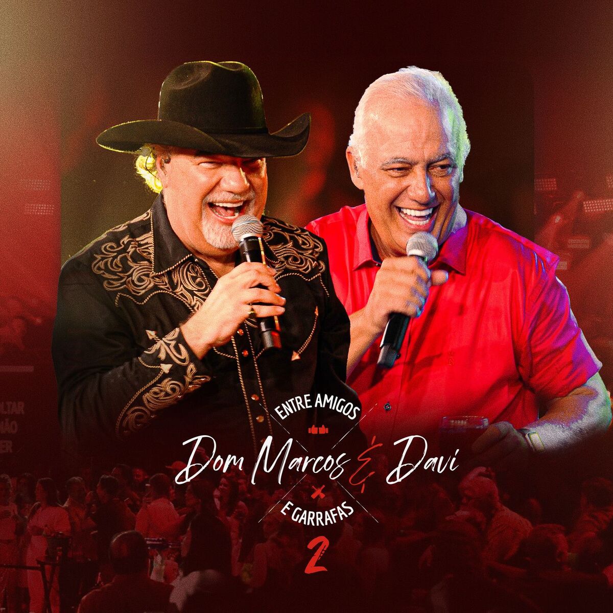 Album cover of Entre Amigos e Garrafas 2