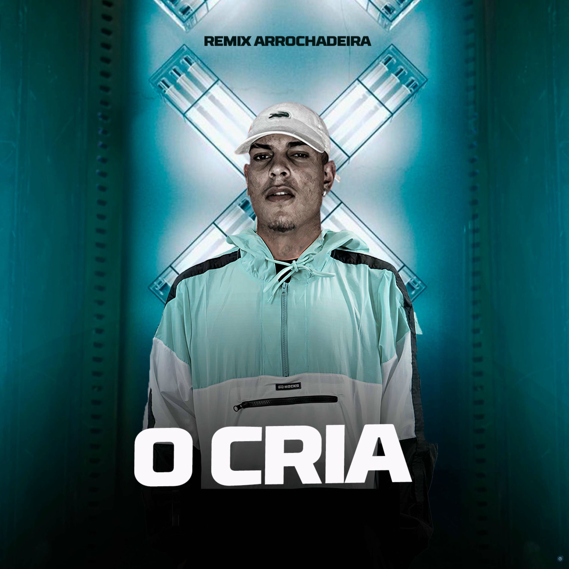 Album cover of O CRIA (Remix Arrochadeira)