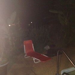 Cover of Sitting Wulf