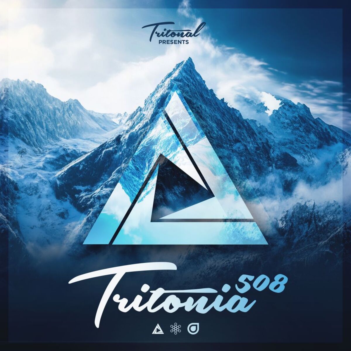 Album cover of Salve In The Mist (Tritonia 508)