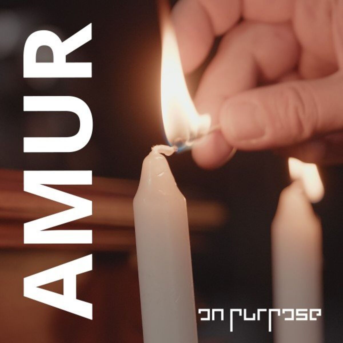 Album cover of Amur