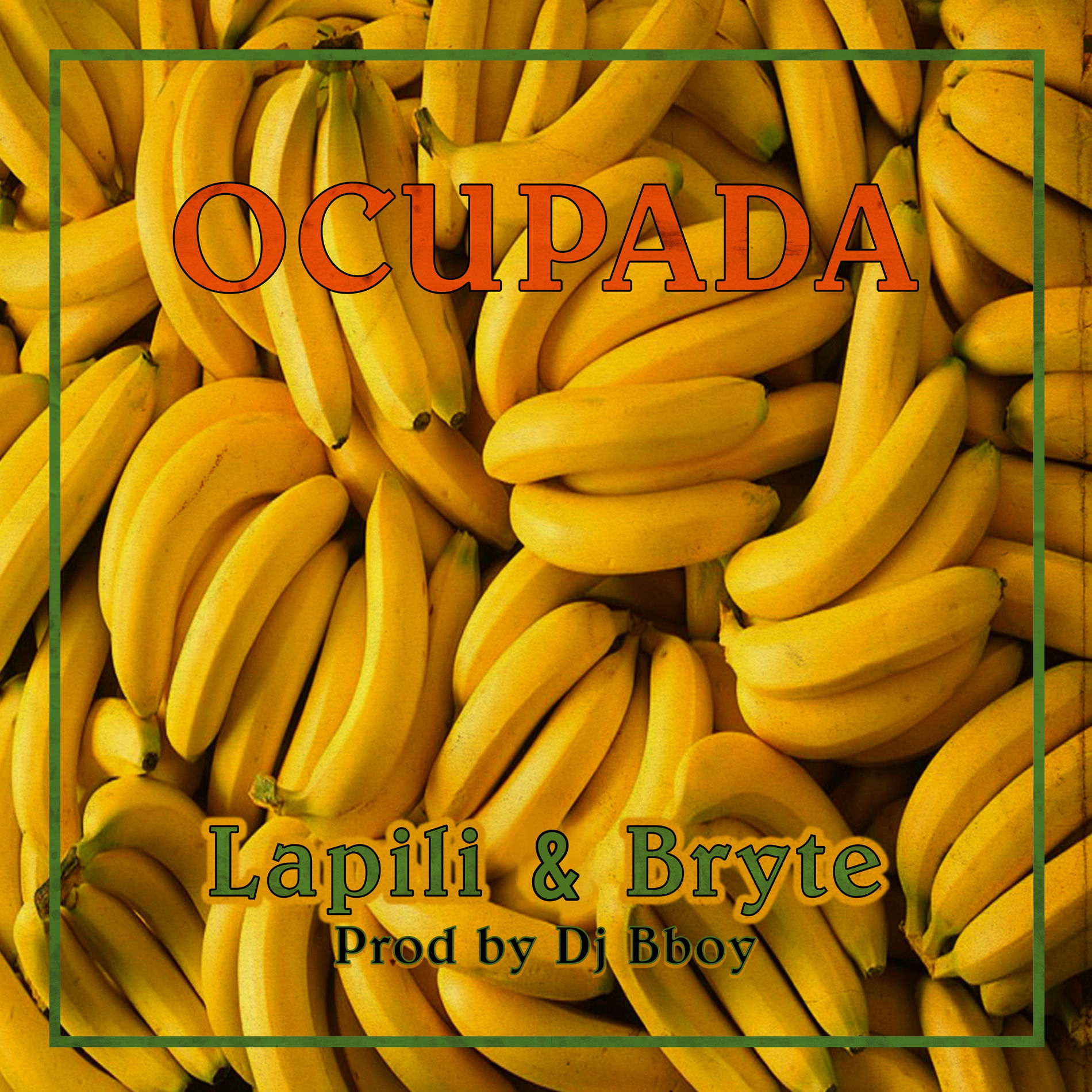 Album cover of Ocupada