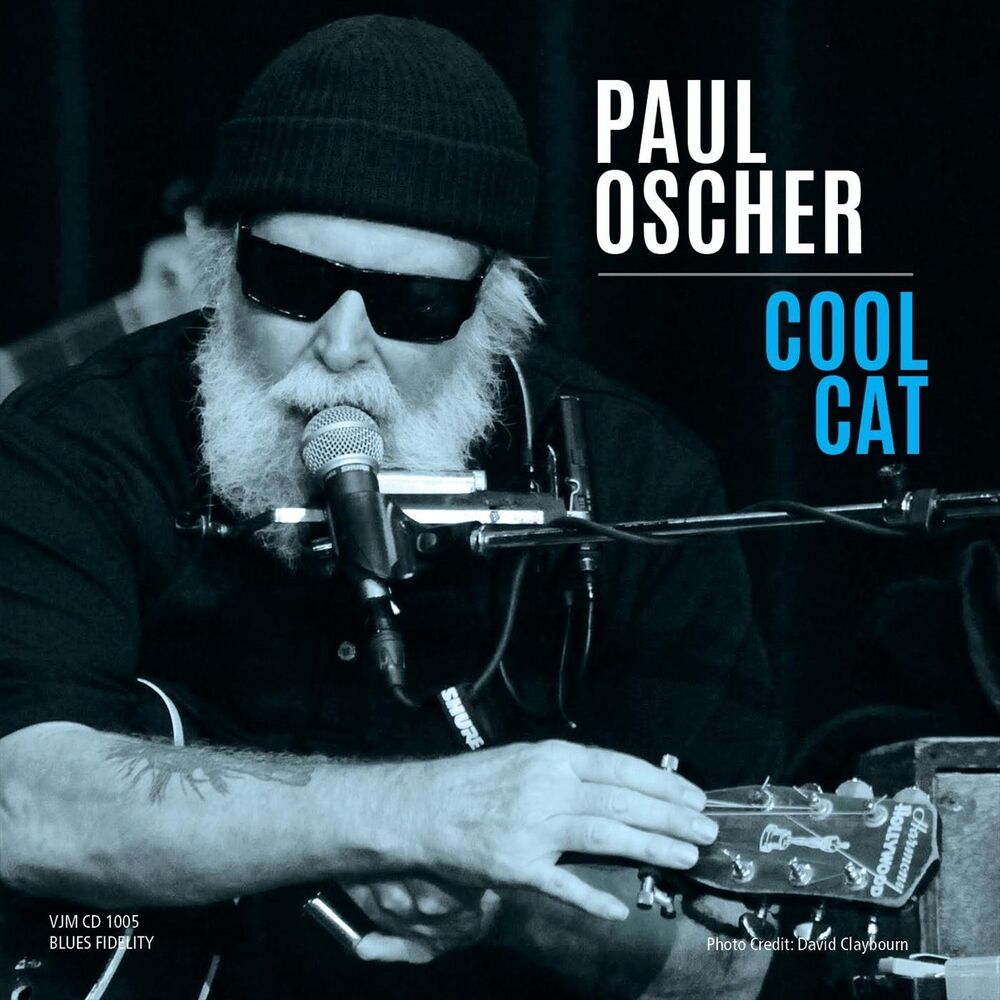 Picture of Cool Cat