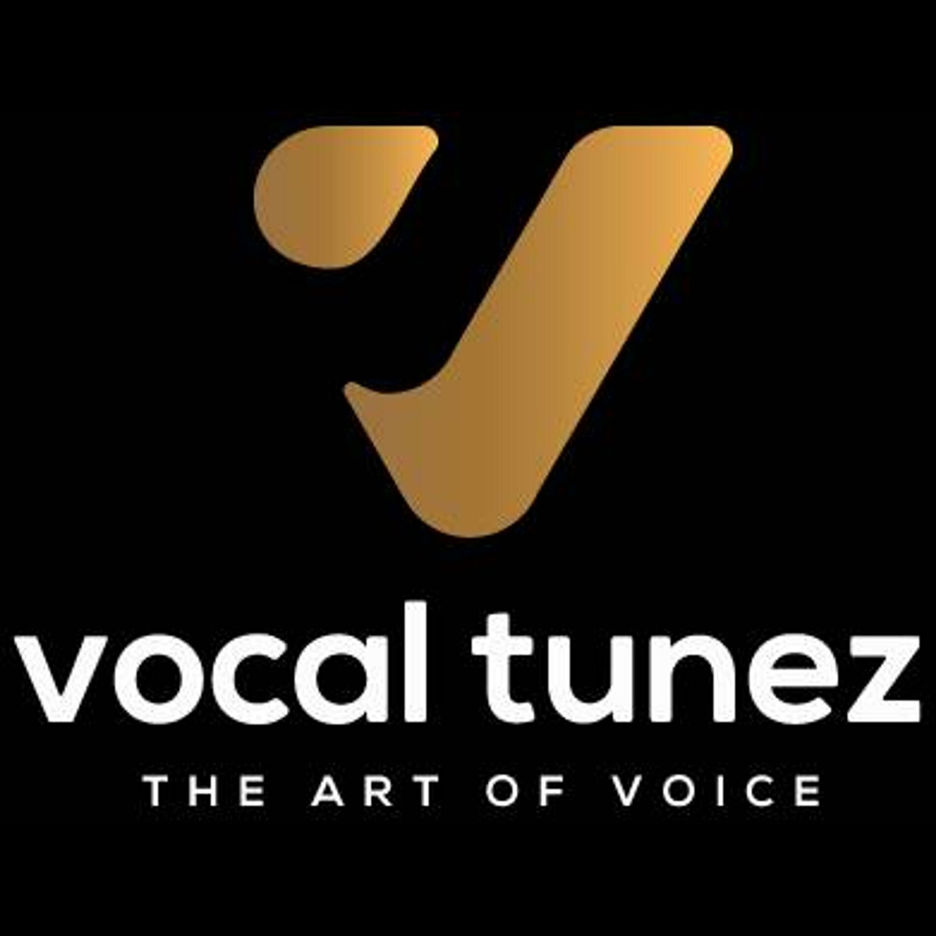 Album cover of Vocals Only Mix