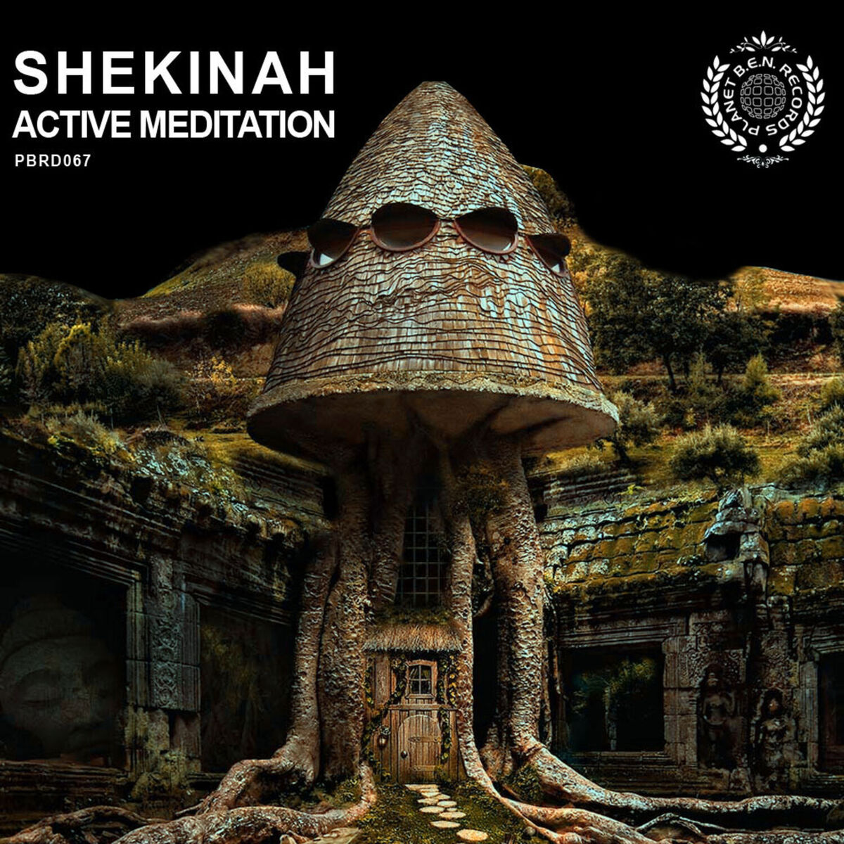Album cover of Active Meditation