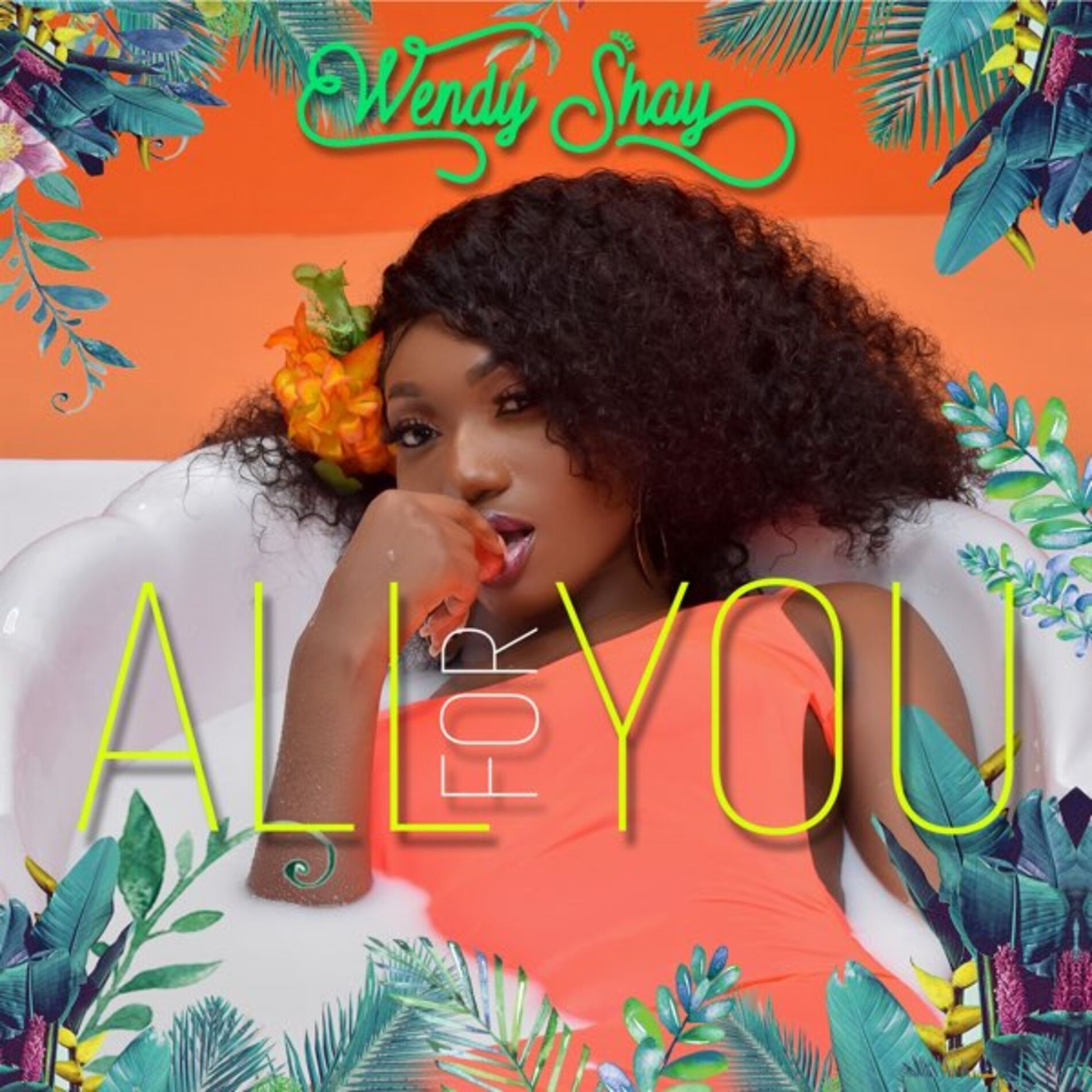 Album cover of All for You