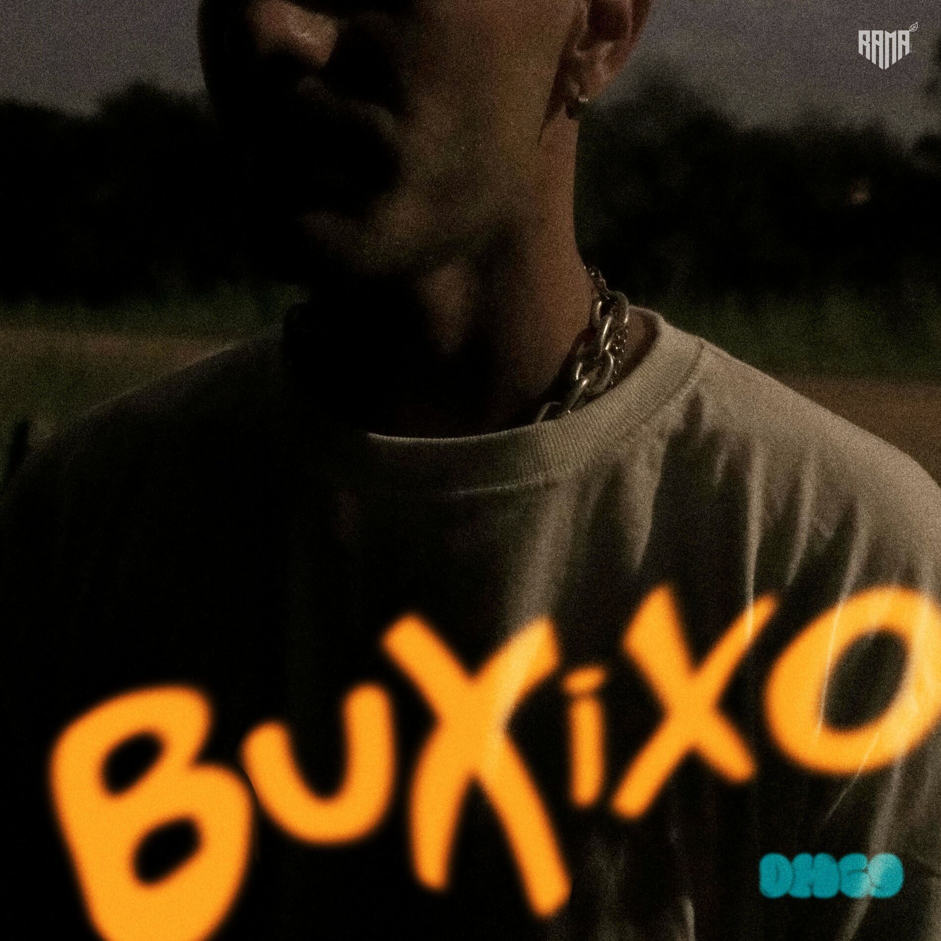 Album cover of BUXIXO